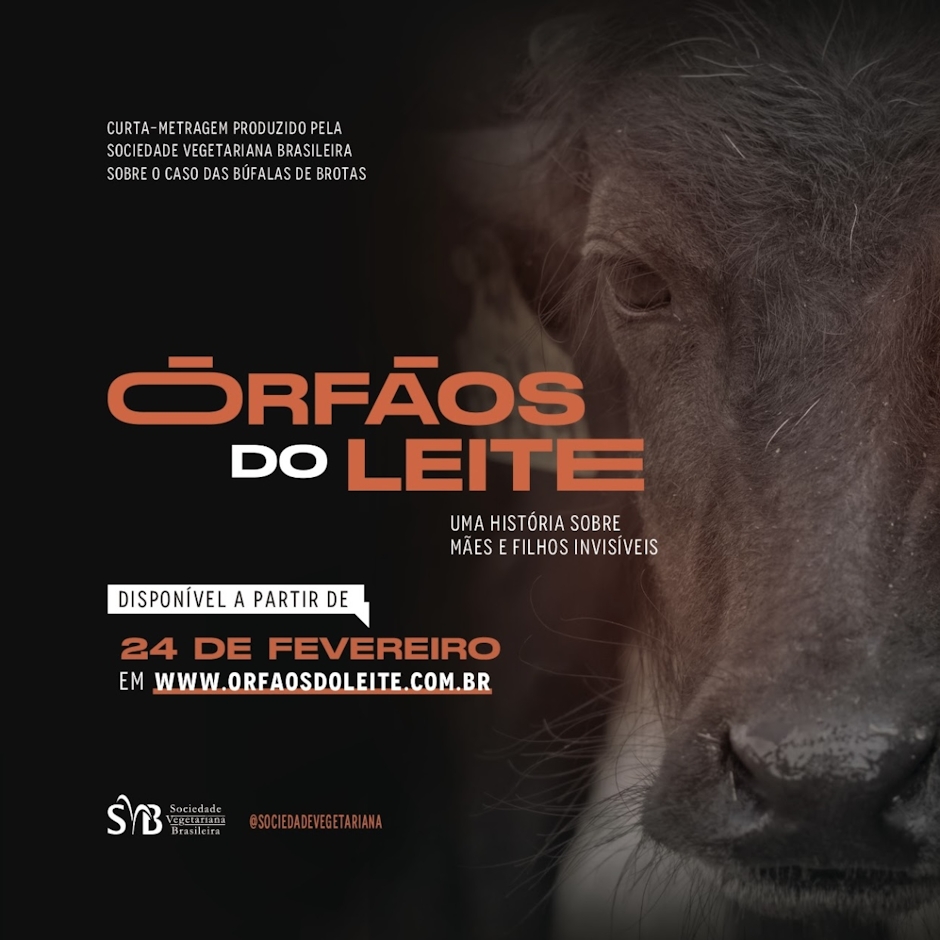 Larissa Maluf Órfãos do Leite - Búfalas de Brotas Translation missing: pt-BR.activerecord.decorators.item_part_image/alt