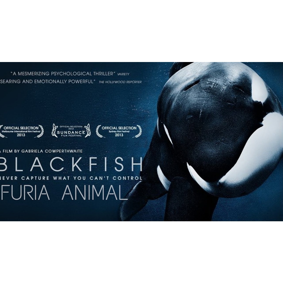Gabriela Cowperthwaite Blackfish - Fúria Animal Translation missing: pt-BR.activerecord.decorators.item_part_image/alt