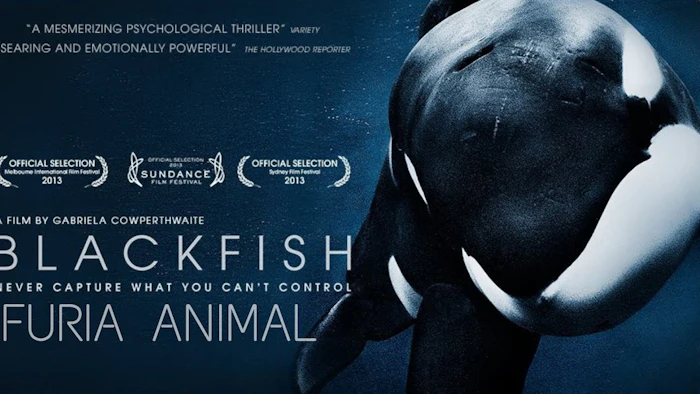 Gabriela Cowperthwaite Blackfish - Fúria Animal Translation missing: pt-BR.activerecord.decorators.item_part_image/alt
