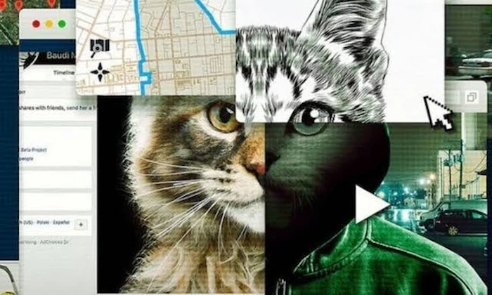 Don't F**k With Cats: Uma Caçada Online Translation missing: pt-BR.activerecord.decorators.item_part_image/alt