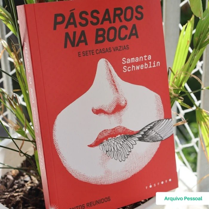 Samantha Schweblin Pássaros na Boca Translation missing: pt-BR.activerecord.decorators.item_part_image/alt