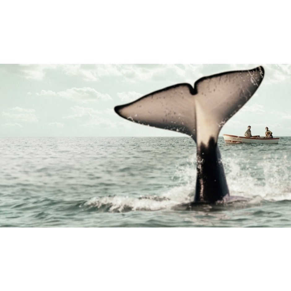 GERARDO OLIVARES Farol das Orcas Translation missing: pt-BR.activerecord.decorators.item_part_image/alt