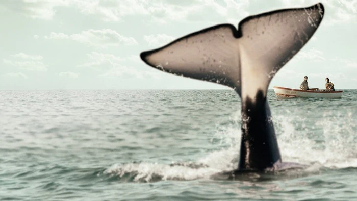 GERARDO OLIVARES Farol das Orcas Translation missing: pt-BR.activerecord.decorators.item_part_image/alt