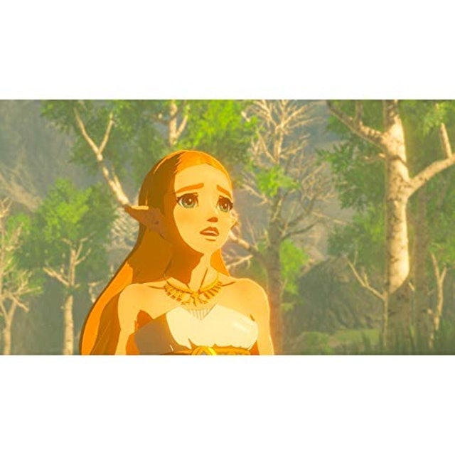NINTENDO The Legend of Zelda Breath of The Wild Translation missing: pt-BR.activerecord.decorators.item_part_image/alt