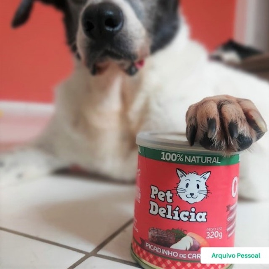 Pet Delícia Comida em Lata Translation missing: pt-BR.activerecord.decorators.item_part_image/alt