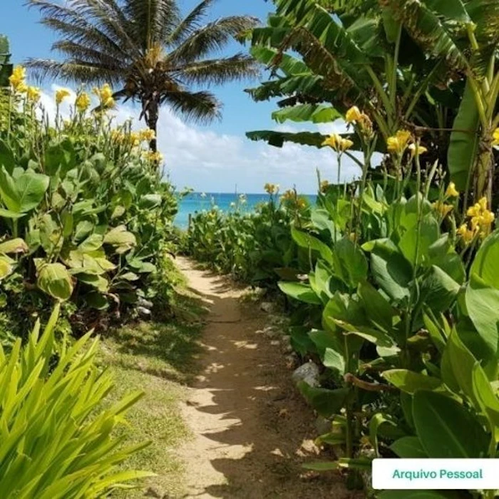 Fernando de Noronha (Pernambuco) Translation missing: pt-BR.activerecord.decorators.item_part_image/alt