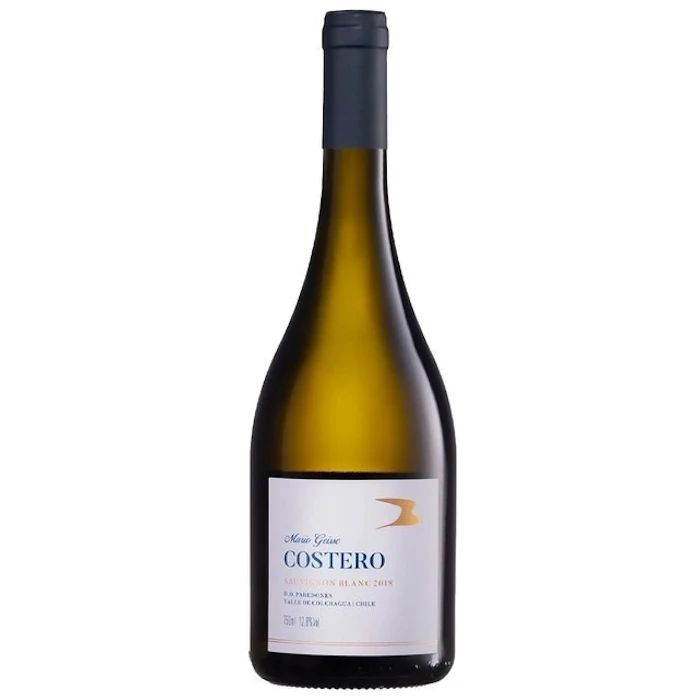 FAMÍLIA GEISSE Vinho Branco Costero Sauvignon Blanc Translation missing: pt-BR.activerecord.decorators.item_part_image/alt