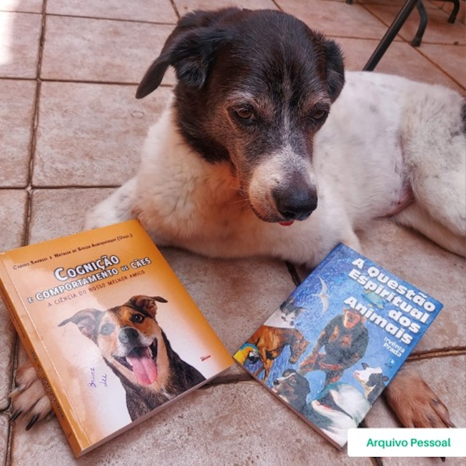 Carine Savalli Livro Cognição e Comportamento de Cães Translation missing: pt-BR.activerecord.decorators.item_part_image/alt