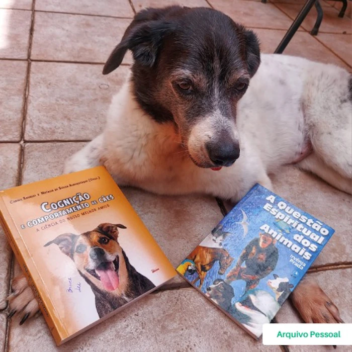 Carine Savalli Livro Cognição e Comportamento de Cães Translation missing: pt-BR.activerecord.decorators.item_part_image/alt