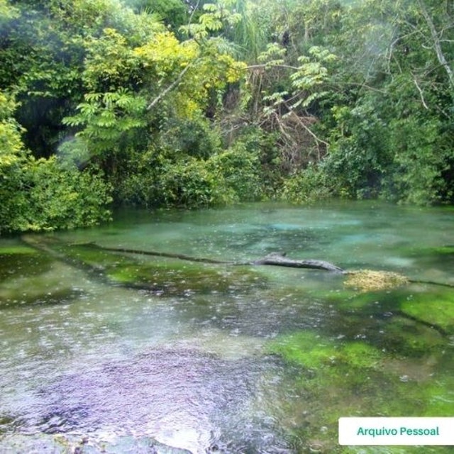 Bonito (Mato Grosso do Sul) Translation missing: pt-BR.activerecord.decorators.item_part_image/alt