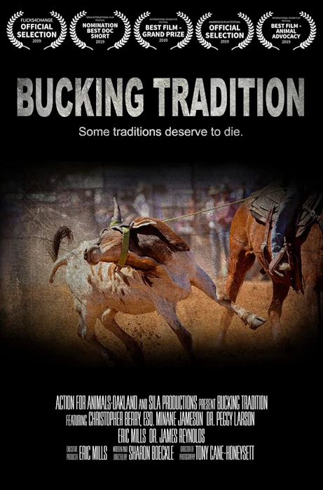 Sharon Boeckle Bucking Tradition Translation missing: pt-BR.activerecord.decorators.item_part_image/alt