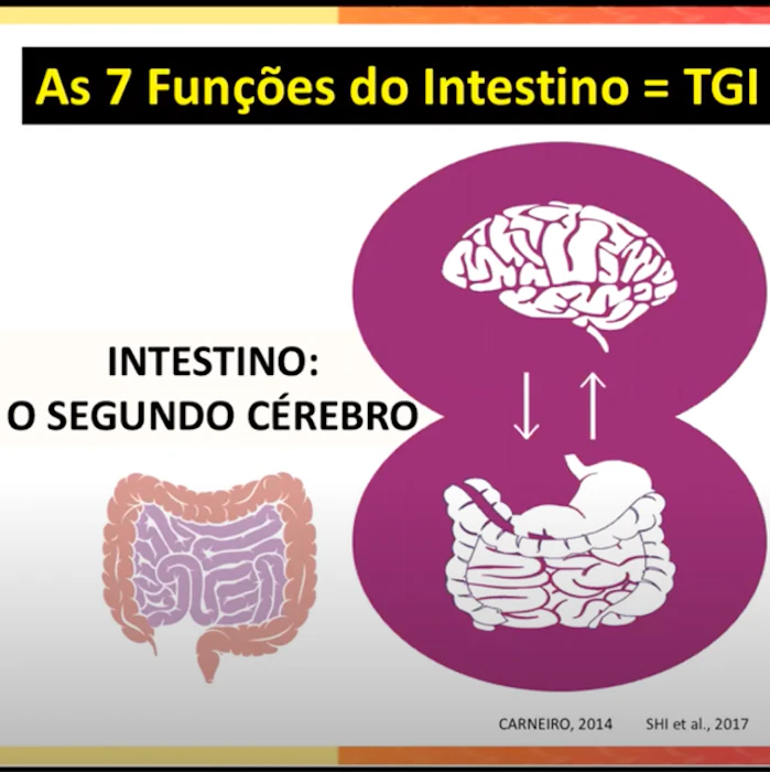 Ligiane Loureiro Intestino e Saciedade Translation missing: pt-BR.activerecord.decorators.item_part_image/alt
