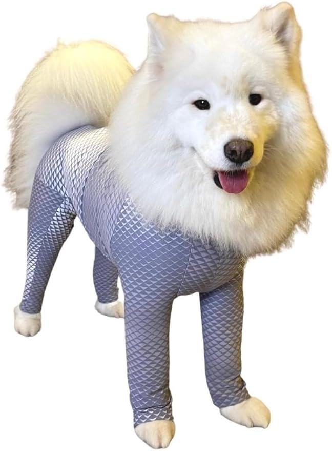 Top 10 Melhores Roupas Cirúrgicas para Cachorro em 2026 (Pet Med, Vani Pet e mais) 4