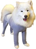 Top 10 Melhores Roupas Cirúrgicas para Cachorro em 2026 (Pet Med, Vani Pet e mais) 4