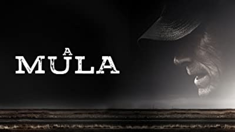 A Mula (2018) 1