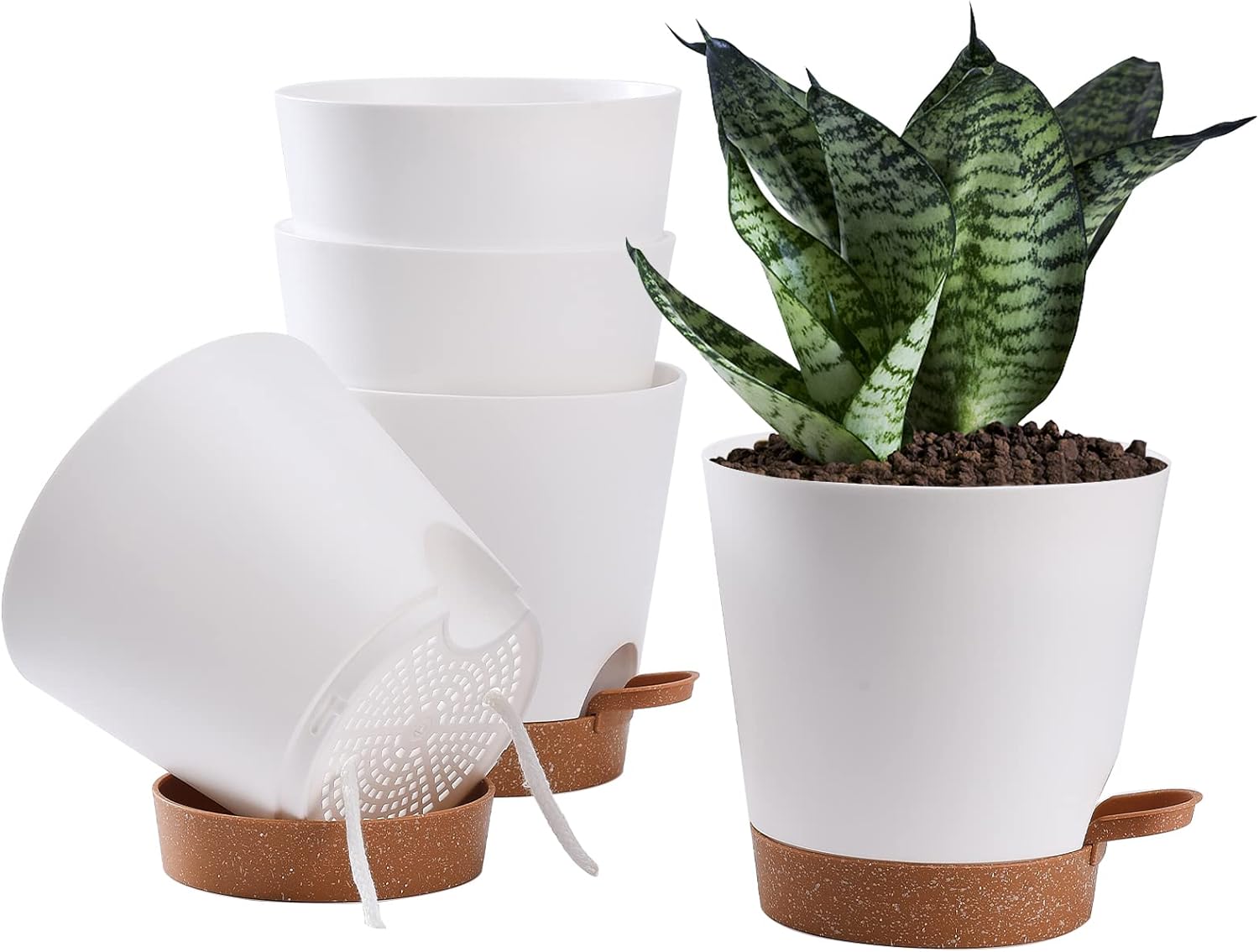 Vasos de Plantas Autoirrigáveis 5