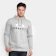OAKLEY Moletom Masculino Oakley Dual Pullover - Cinza 1