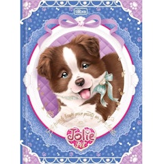 Caderno Brochura Jolie - Pacote com 5