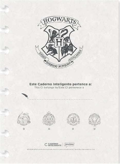 Caderno Ci By Harry Potter Grande 3