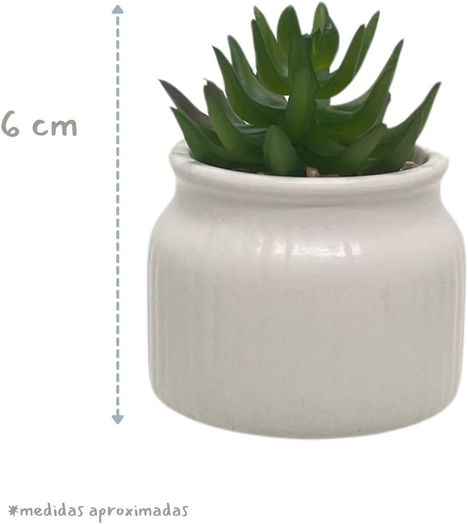 Conjunto de 3 Vasos em Cerâmica com Suculentas Artificiais 2