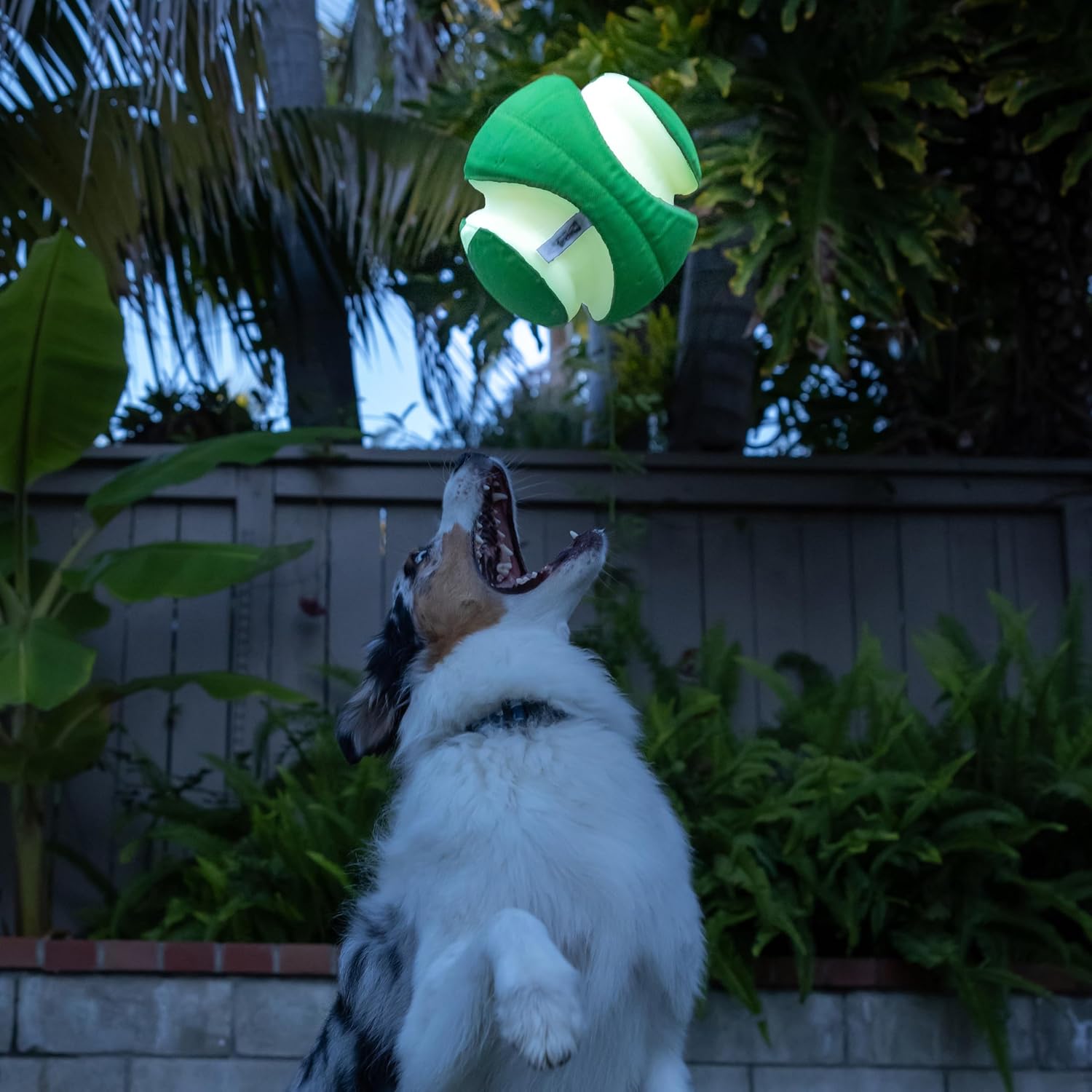Bola Chuckit! Kick Fetch Max Glow 4
