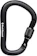 BLACK DIAMOND Mosquetão Rocklock Screwgate 1