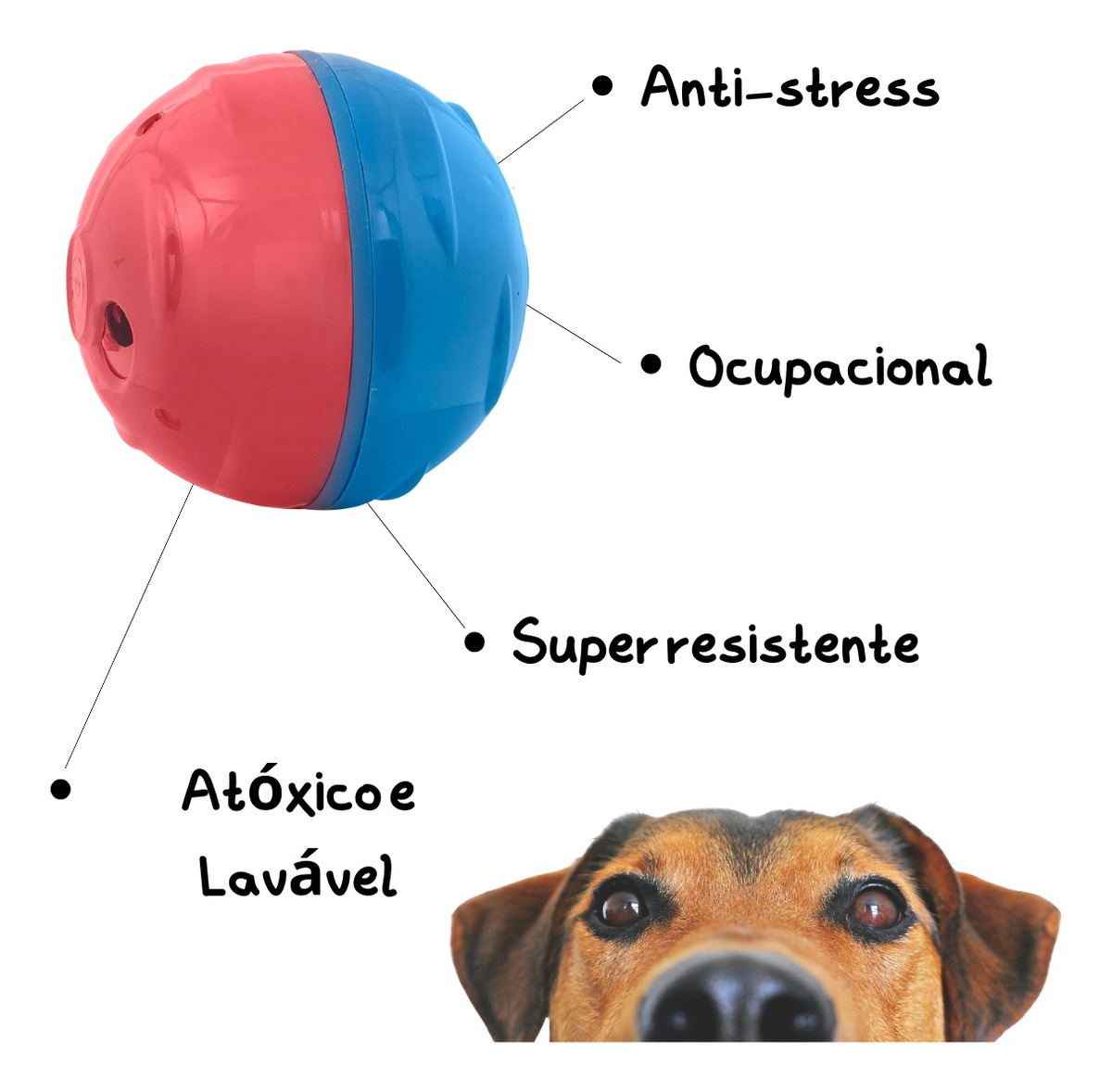 Redondog P 4