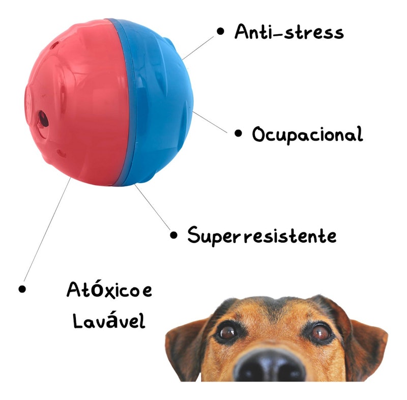 Redondog P 4