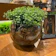 DECORE FÁCIL Arranjo Centro de Mesa Verdinho Artificial 1