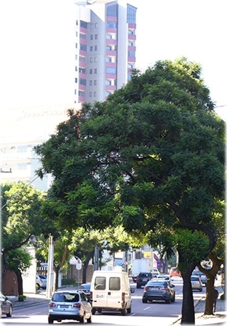 Água Verde 3
