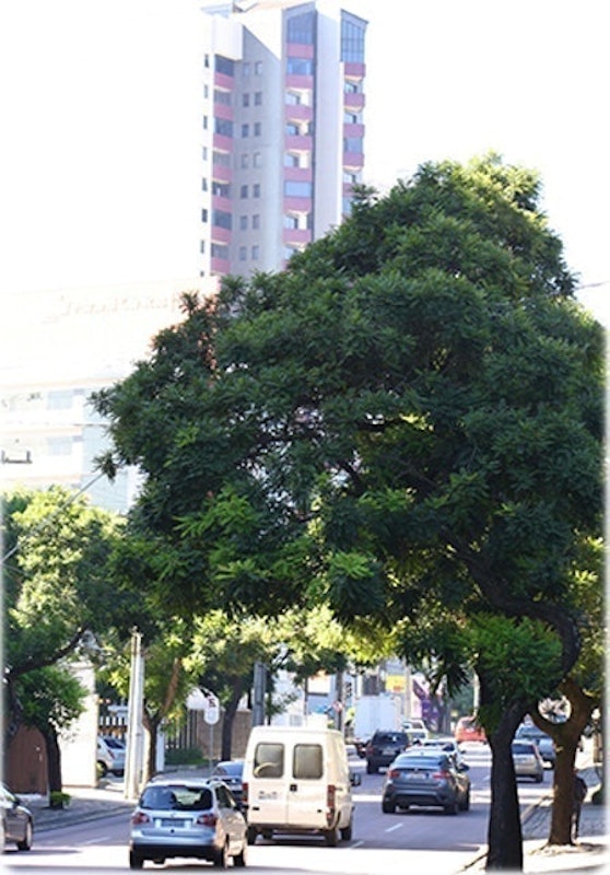 Água Verde 3