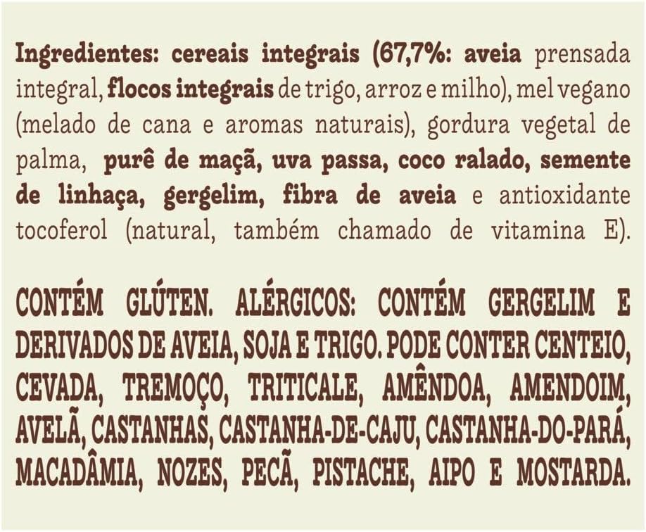 Granola Frutas e Mel Vegano 3