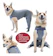 KEEPETS Roupa Pós-Cirúrgica Membro Posterior Pet Nº 7/8 10 a 17 kg 1