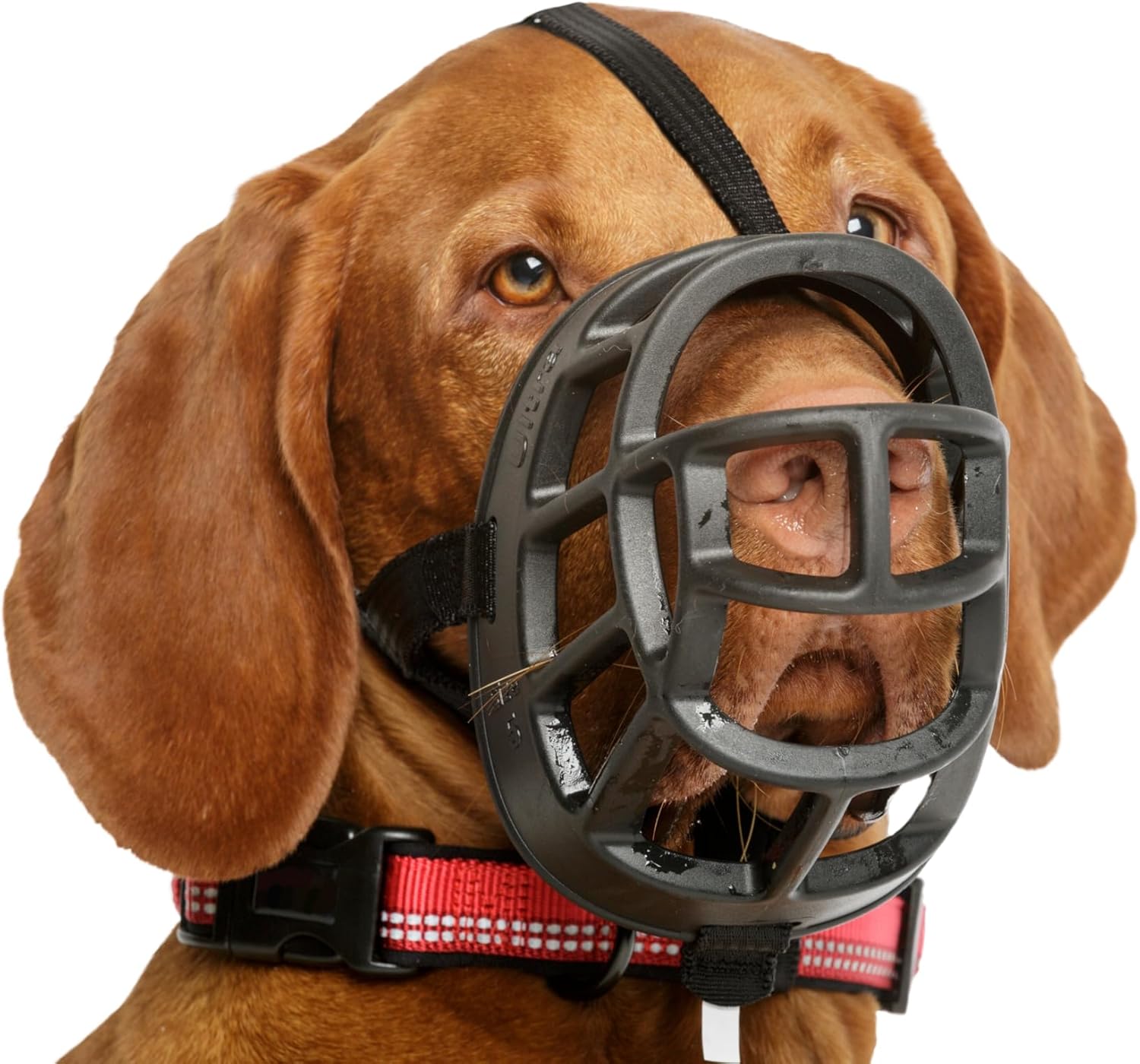 Focinheira Baskerville Ultra Muzzle 4