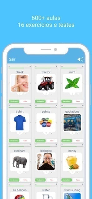 LinGo Play 4