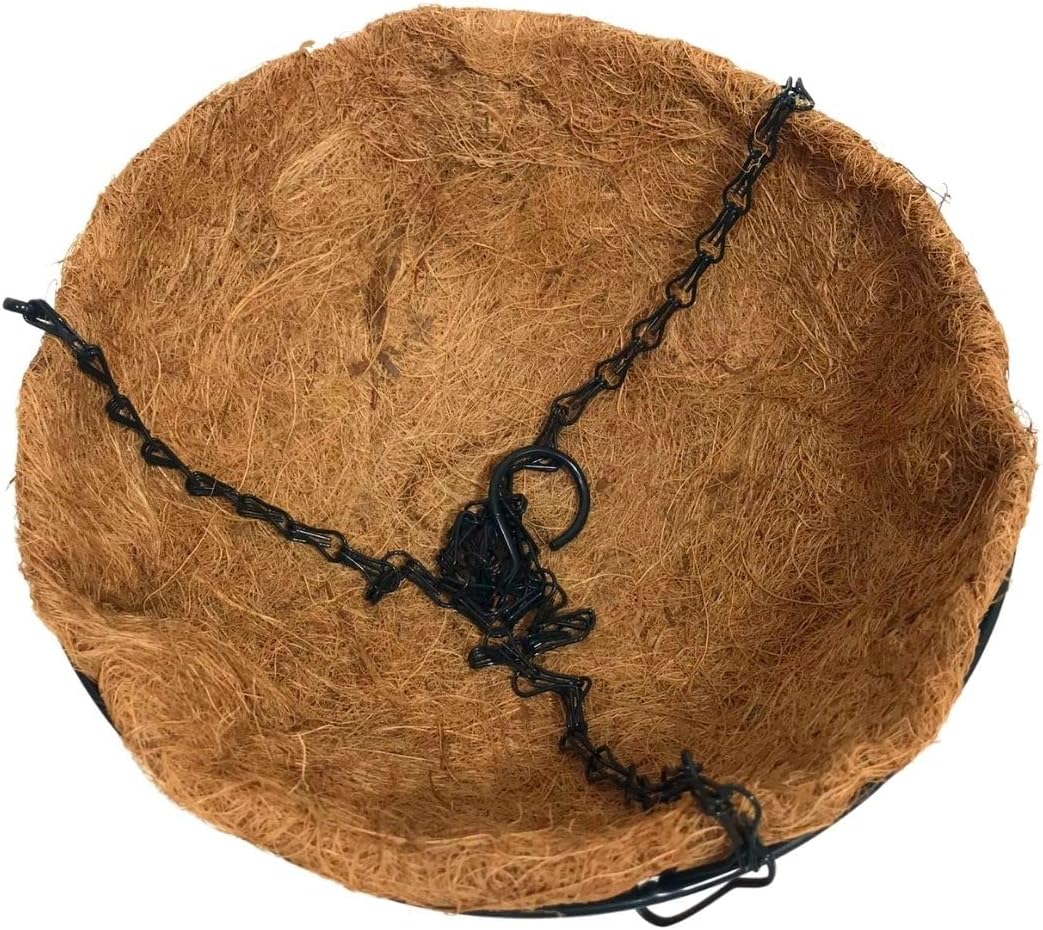 Vaso Fibra de Coco 25 cm 3