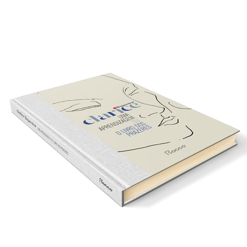 Uma Aprendizagem ou o Livro dos Prazeres 3