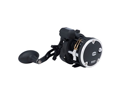 Carretilha Penn Rival 20LW 3