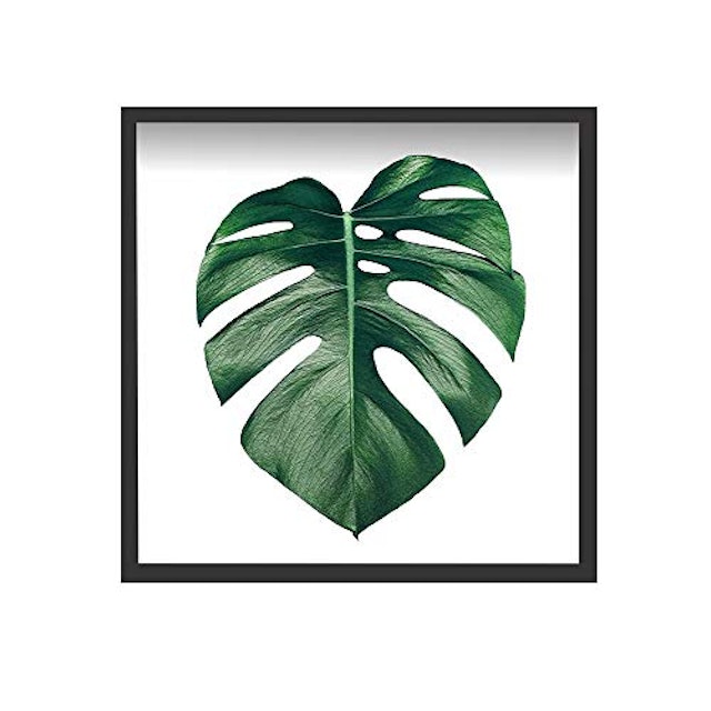 Quadro Decorativo com Vidro Folhagem 1