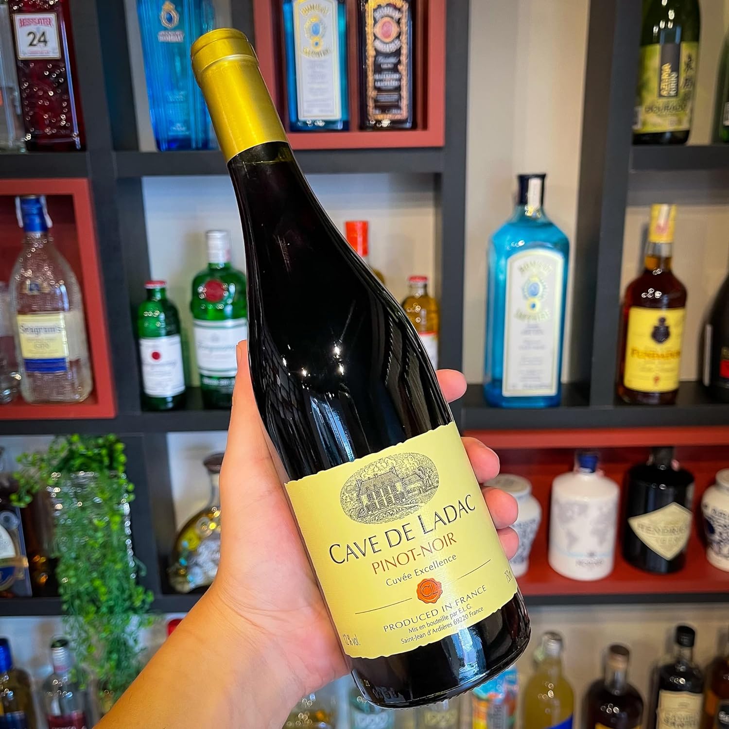 Vinho Pinot Noir Cave de Ladac 2