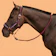FOUGANZA Cabresto + Guia para Hipismo Confort 1