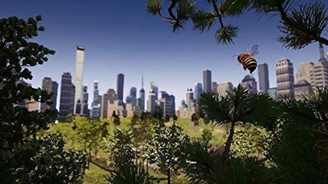 Bee Simulator (2019) 5