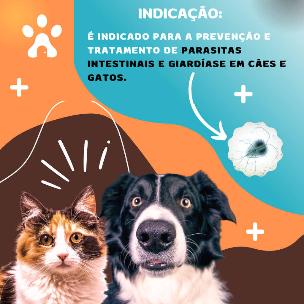 Vermífugo Natu Vem Plus 2