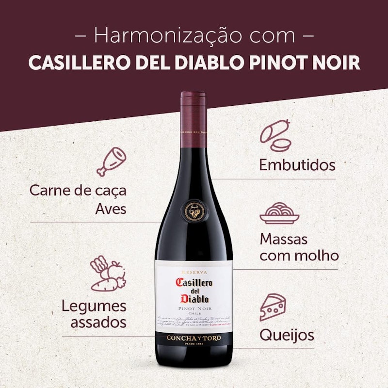 Vinho Pinot Noir Casillero del Diablo 2