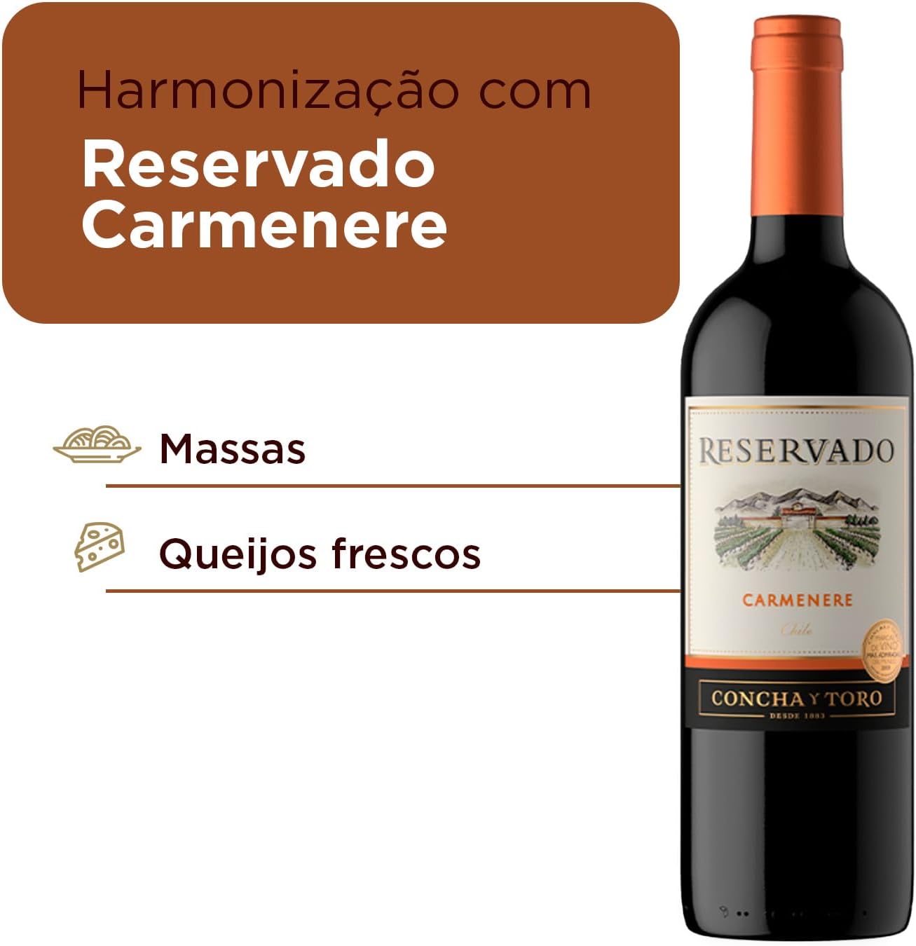 Vinho Carménère Reservado  3