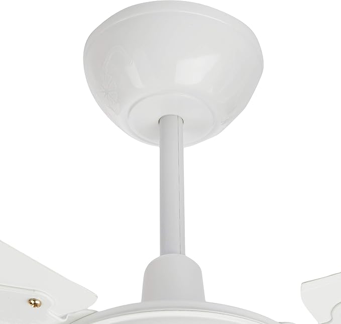 Ventilador de Teto Pêra New 5