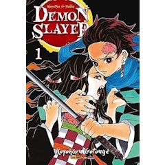Demon Slayer - Kimetsu No Yaiba Vol. 1