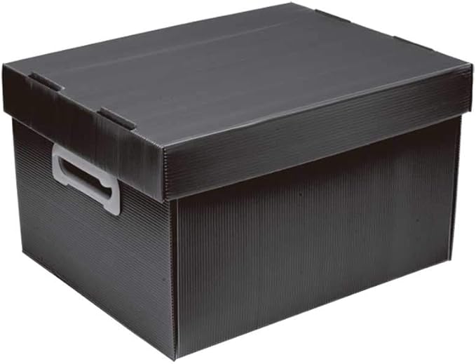 Caixa Organizadora Média The Best Box 1