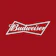 Budweiser 1