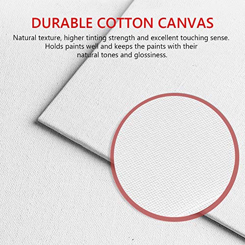 Kit de Lonas para Pintura 2